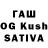 A PVP VHQ Erzhan Sauirbaev
